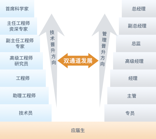 晉升發展雙通道